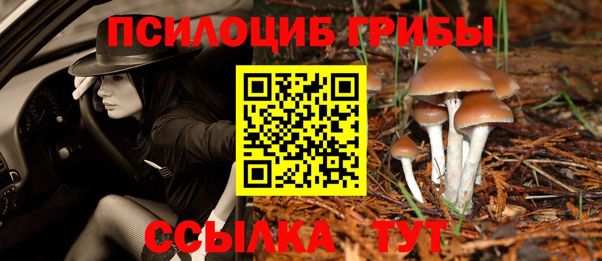 Галлюциногенные грибы Magic Shrooms  Вход с VPN  Псилоцибиновые грибы MAGIC MUSHROOMS  Ноябрьск 